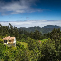 Отель Casas da Quinta Португалия, Машику - отзывы, цены и фото номеров - забронировать отель Casas da Quinta онлайн фото 4