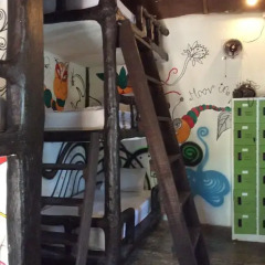 Moov Inn Garden Hostel Кровать в общем номере с двухъярусной кроватью фото 14