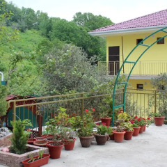 Гостиница Aida Guest House в Сочи отзывы, цены и фото номеров - забронировать гостиницу Aida Guest House онлайн фото 2