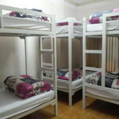 Tiny Tigers Hostel Кровать в общем номере с двухъярусной кроватью