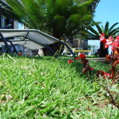 Отель Quinta da Vila фото 6