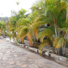 Отель Chel and Vade Cottages пляж
