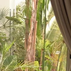 Отель Riad Zyo Марокко, Рабат - отзывы, цены и фото номеров - забронировать отель Riad Zyo онлайн фото 2
