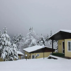 Отель Daskalov Bungalows Боженци фото 3