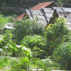 Отель Sirianda Bungalows Ланта фото 5