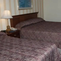 Отель Island Travel Inn Канада, Виктория - отзывы, цены и фото номеров - забронировать отель Island Travel Inn онлайн комната для гостей фото 10