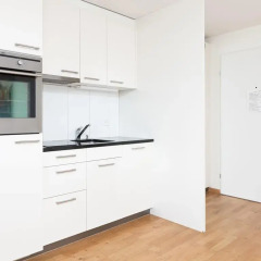 Апартаменты Apartments Swiss Star Ämtlerstrasse Цюрих в номере