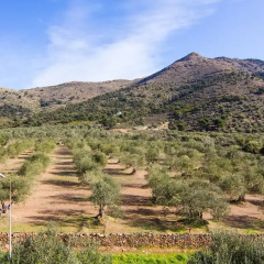 Отель Agi Rescator Resort Испания, Курорт Росес - отзывы, цены и фото номеров - забронировать отель Agi Rescator Resort онлайн фото 4