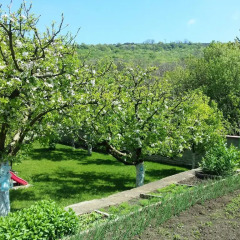 Отель Villa Detelina Balchik фото 3
