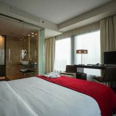 IBB Andersia Hotel 4* Номер Комфорт с различными типами кроватей фото 4