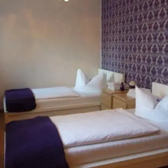 Hotel & Hostel Hallbergerhof Стандартный номер с двуспальной кроватью фото 13
