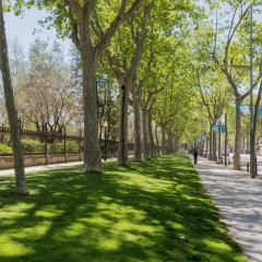 Отель ApartEasy Family Ciutadella Park Барселона фото 3