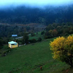Отель Homestay Süllü Dağ Evi Гиресун фото 3