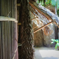Отель Under the coconut tree Кровать в общем номере с двухъярусной кроватью