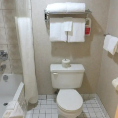 Отель Ramada by Wyndham Victoria Канада, Виктория - отзывы, цены и фото номеров - забронировать отель Ramada by Wyndham Victoria онлайн ванная фото 2