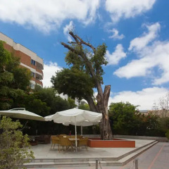 Отель Soho Boutique Jerez & Spa Испания, Херес-де-ла-Фронтера - отзывы, цены и фото номеров - забронировать отель Soho Boutique Jerez & Spa онлайн фото 6