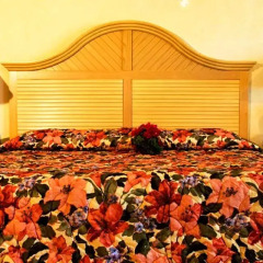 Golden Sands Hotel развлечения