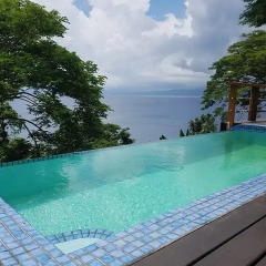 Отель Daku Resort Savusavu 3* Вилла с различными типами кроватей