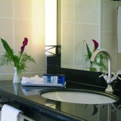 Maritim Hotel & Internationales Congress Center Dresden 4* Стандартный номер с различными типами кроватей