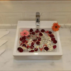 Отель Vego Hotel Азербайджан, Гянджа - отзывы, цены и фото номеров - забронировать отель Vego Hotel онлайн в номере