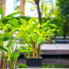 Отель Waterford Condominium Sukhumvit 50 Бангкок фото 14