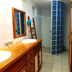 Отель Te Tavake by Tahiti Homes Французская Полинезия, Пунаауиа - отзывы, цены и фото номеров - забронировать отель Te Tavake by Tahiti Homes онлайн ванная фото 2
