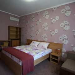 Гостиница Частный Дом Family House Tes комната для гостей фото 5