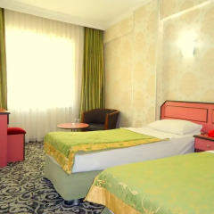 Hotel Buyuk Paris 3* Стандартный номер с различными типами кроватей фото 2