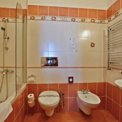 Hotel U Páva 4* Стандартный номер с различными типами кроватей фото 11