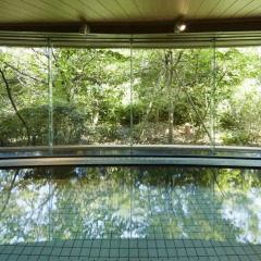 Agora Fukuoka Hilltop Hotel & Spa 4* Стандартный номер