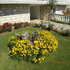 Отель Apartmani Sekulic фото 2