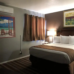Отель Knights Inn Los Angeles Central / Convention Center Area США, Лос-Анджелес - отзывы, цены и фото номеров - забронировать отель Knights Inn Los Angeles Central / Convention Center Area онлайн комната для гостей фото 4