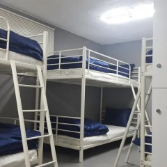 Seoul Forest Guesthouse - Hostel Кровать в женском общем номере с двухъярусной кроватью фото 4