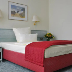 Hotel Steglitz International 4* Стандартный номер с двуспальной кроватью фото 3