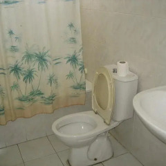 Отель Canary Hotel Иордания, Амман - отзывы, цены и фото номеров - забронировать отель Canary Hotel онлайн ванная фото 2