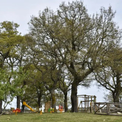 Отель Masseria Mazzalorsa Альберобелло детские мероприятия