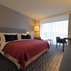 Radisson Blu Hotel Zurich Airport 4* Стандартный номер с различными типами кроватей фото 5