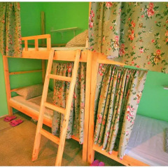 Wheat Youth Hostel Кровать в женском общем номере с двухъярусной кроватью фото 2