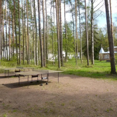 Гостиница Дом творчества Архитектор в Санкт-Петербурге 1 отзыв об отеле, цены и фото номеров - забронировать гостиницу Дом творчества Архитектор онлайн Санкт-Петербург приотельная территория фото 2