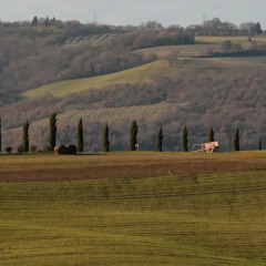 Отель Casale Biancospino Кьянчиано Терме спортивное сооружение