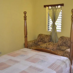 Отель Little Shaw Park Guest House 2* Стандартный номер с различными типами кроватей фото 8