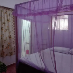 Kind & Love Hostel Стандартный номер с различными типами кроватей