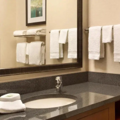 Отель Drury Inn & Suites St. Louis Brentwood 3* Номер Делюкс с различными типами кроватей фото 3