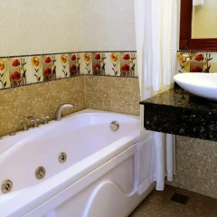 Roseland Inn Hotel 2* Улучшенный номер с различными типами кроватей фото 5