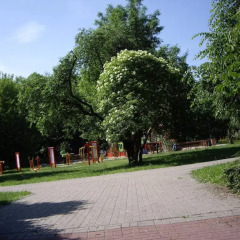 Отель Kwatery парковка