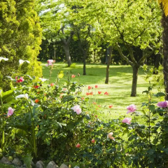 Отель B&B Cristina Италия, Порто Реканати - отзывы, цены и фото номеров - забронировать отель B&B Cristina онлайн фото 6