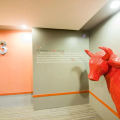 My Hotel Ratchada 3* Номер Делюкс фото 5