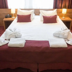 Hotel Swing 4* Стандартный номер с различными типами кроватей