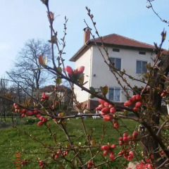 Отель Venikula Guest House Боженци фото 11
