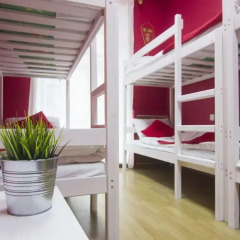 Wow Hotel on Nevsky детские мероприятия